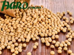 1agro.com.ua