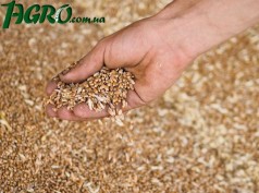 1agro.com.ua