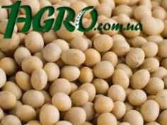 1agro.com.ua