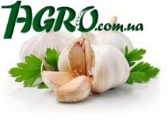 1agro.com.ua