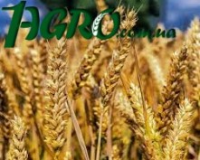 1agro.com.ua