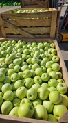 1agro.com.ua