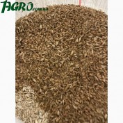 1agro.com.ua