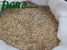 1agro.com.ua
