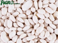1agro.com.ua