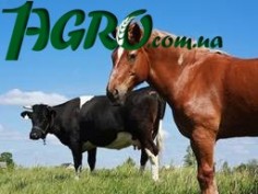 1agro.com.ua