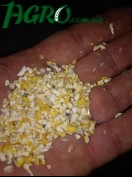 1agro.com.ua
