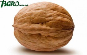 1agro.com.ua