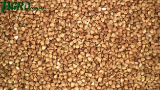 1agro.com.ua