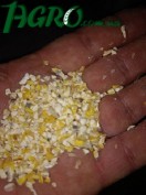 1agro.com.ua