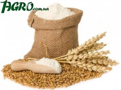 1agro.com.ua