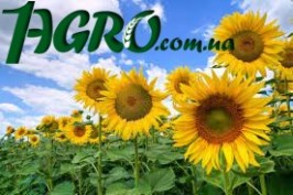 1agro.com.ua