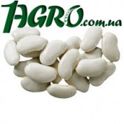 1agro.com.ua