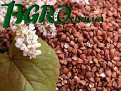 1agro.com.ua
