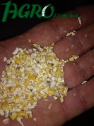 1agro.com.ua