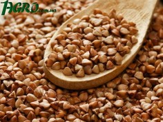 1agro.com.ua