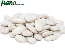 1agro.com.ua