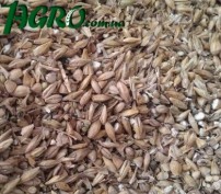 1agro.com.ua