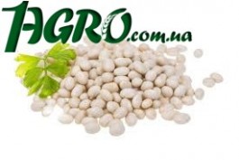 1agro.com.ua