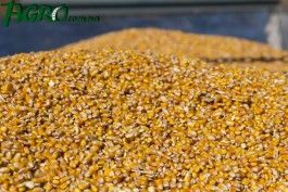 1agro.com.ua