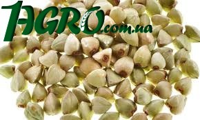 1agro.com.ua