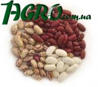 1agro.com.ua