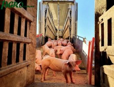 1agro.com.ua