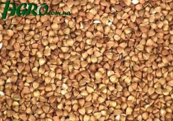 1agro.com.ua