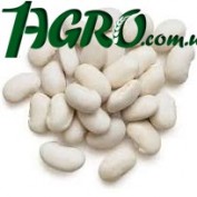 1agro.com.ua