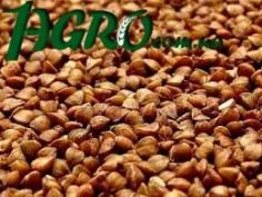 1agro.com.ua