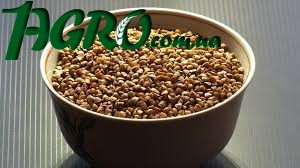 1agro.com.ua