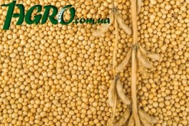 1agro.com.ua
