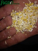 1agro.com.ua