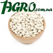 1agro.com.ua