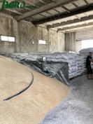 1agro.com.ua