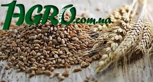 1agro.com.ua