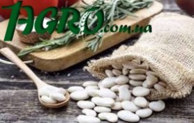 1agro.com.ua