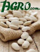 1agro.com.ua