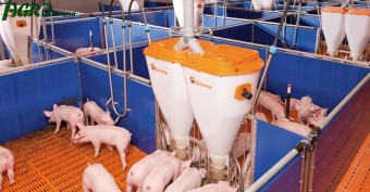 1agro.com.ua
