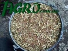 1agro.com.ua