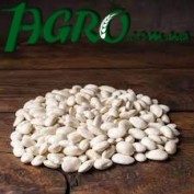 1agro.com.ua