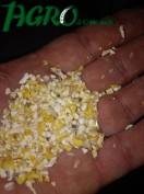 1agro.com.ua