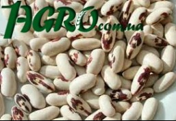 1agro.com.ua