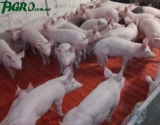 1agro.com.ua