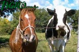 1agro.com.ua