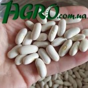 1agro.com.ua