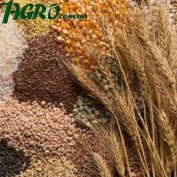 1agro.com.ua