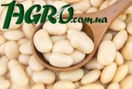 1agro.com.ua