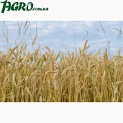1agro.com.ua