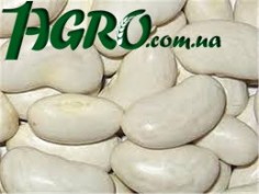 1agro.com.ua